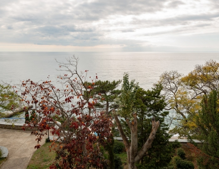 Эконом 1-местный 1-комнатный Дача 17 (отделение "Морской прибой") - Санаторий «Ай-Петри»